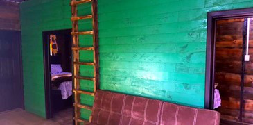 Interior verde con escalera hacia planta alta.